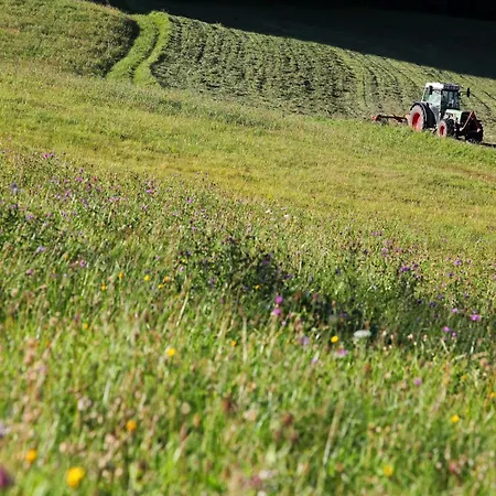 In Woergl Near Bus Stop הופגרטן אים בריקסנטל