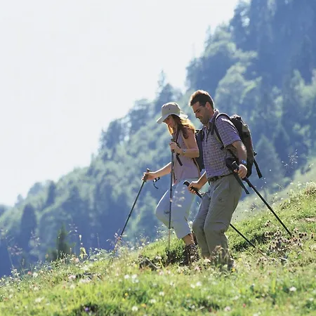 In Woergl Near Bus Stop *